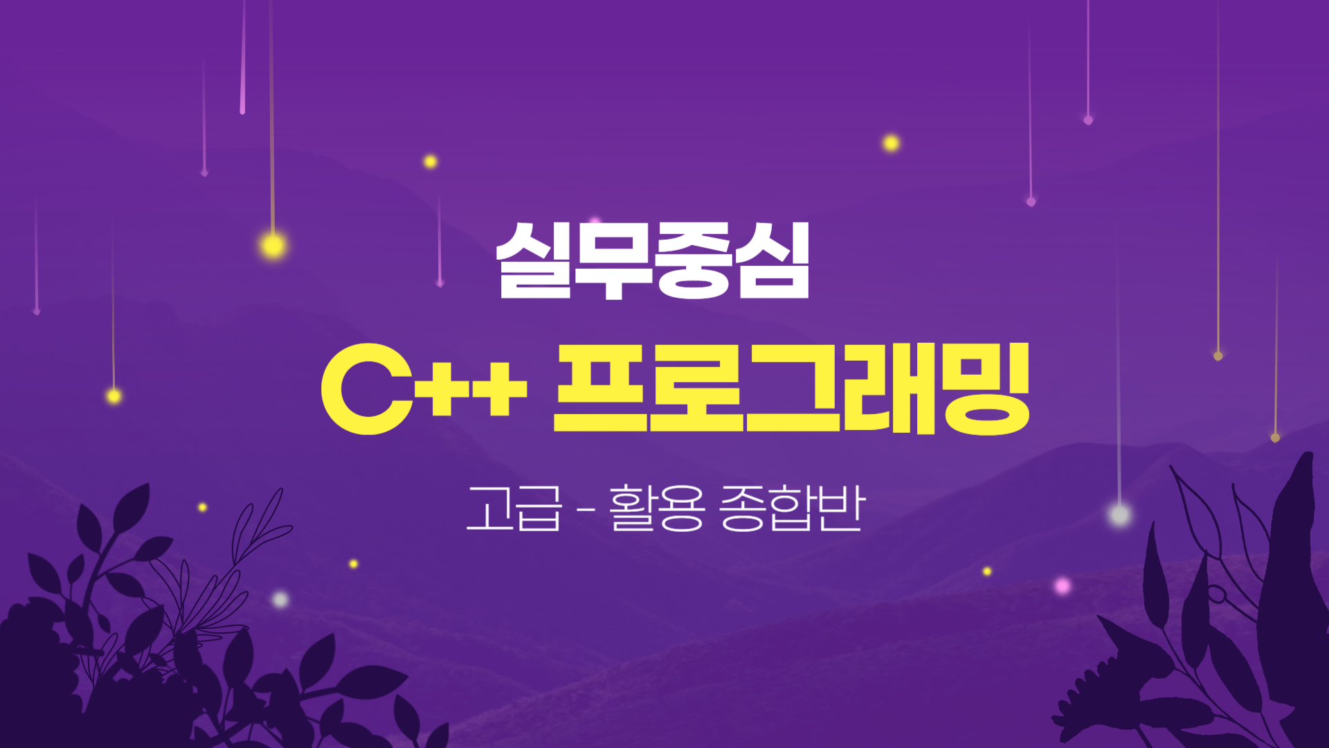 [HD]실무 중심 C++ 프로그래밍 제대로 배우기 (고급-활용)