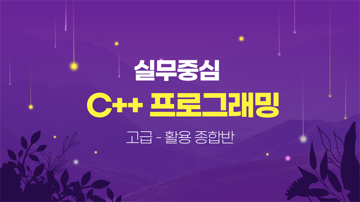 [HD]실무 중심 C++ 프로그래밍 제대로 배우기 (고급-활용)