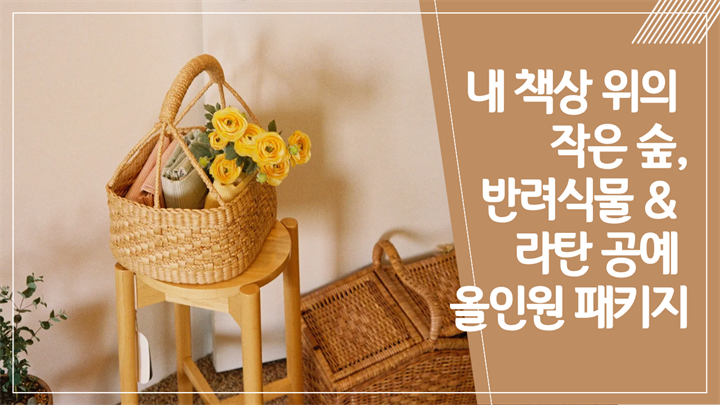 [오피스 힐링 프로젝트] 내 책상 위의 작은 숲, 반려식물 & 라탄 공예 올인원 패키지