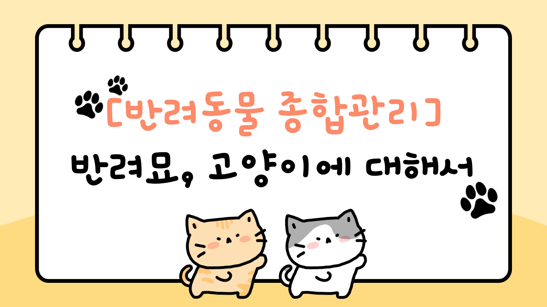 [반려동물 종합관리] 반려묘, 고양이에 대해서