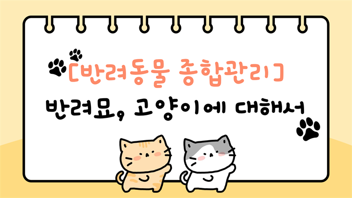 [반려동물 종합관리] 반려묘, 고양이에 대해서