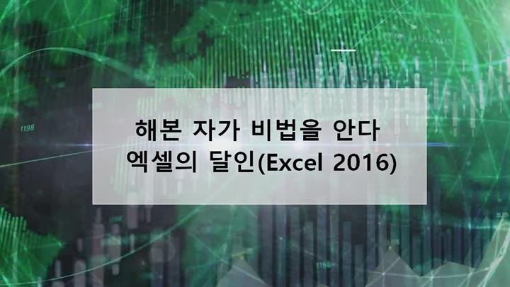 해본 자가 비법을 안다! 엑셀 2016 마스터