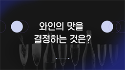 와인의 맛을 결정하는 것은?