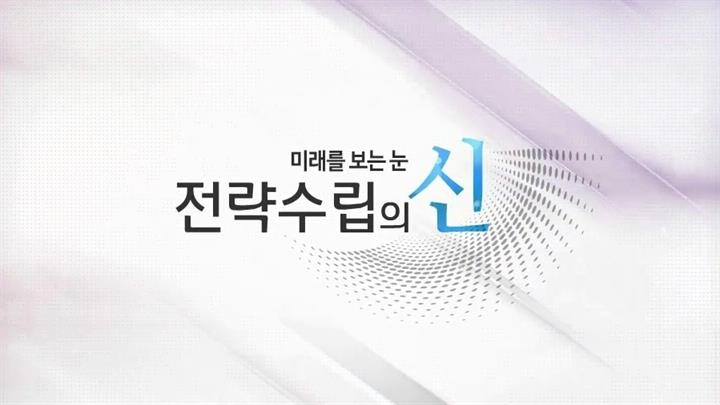 미래를 보는 눈 - 전략수립의 신