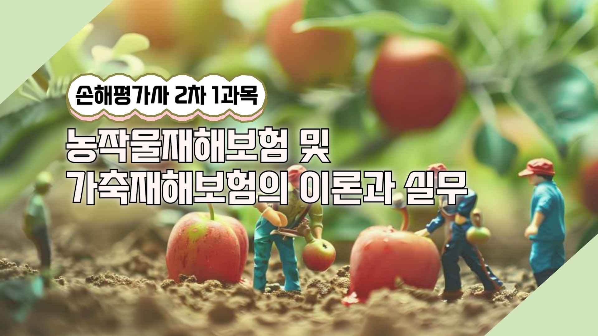 손해평가사 2차 [1과목 농작물재해보험 및 가축재해보험의 이론과 실무]