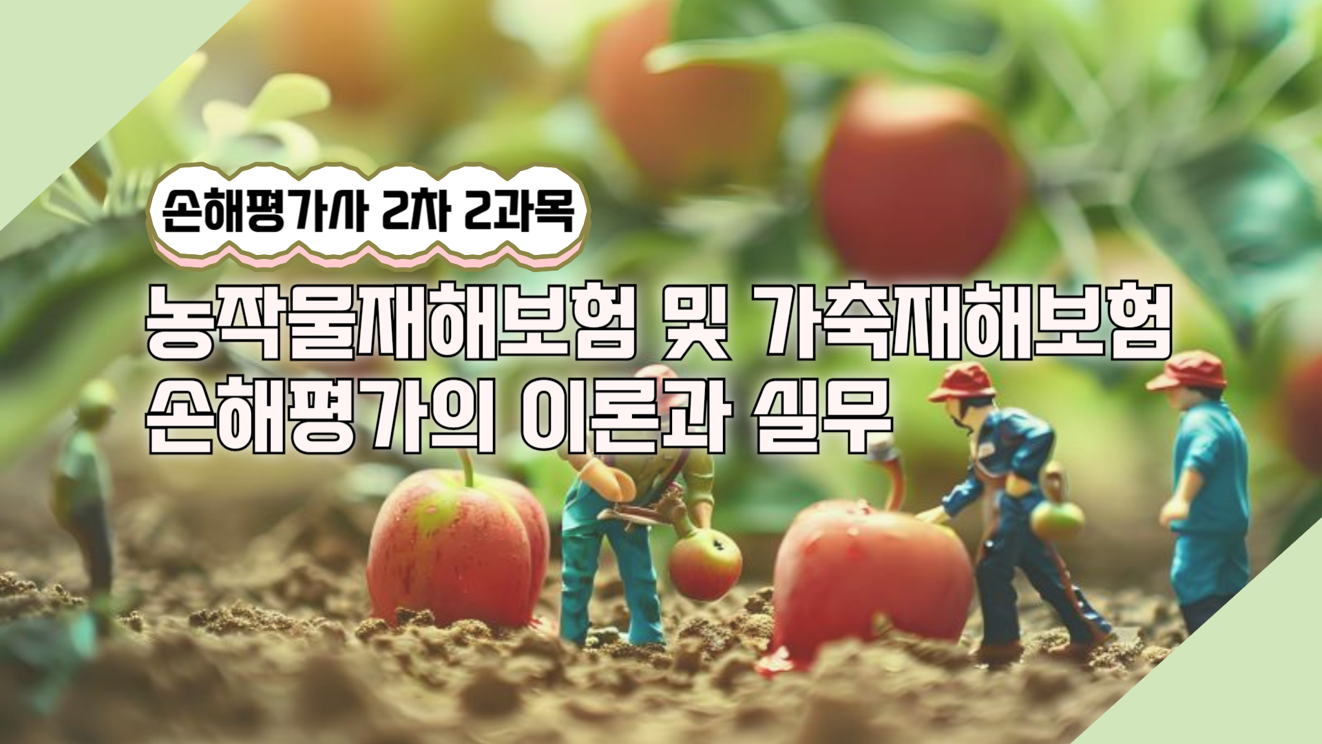 손해평가사 2차 [2과목 농작물재해보험 및 가축재해보험 손해평가의 이론과 실무]