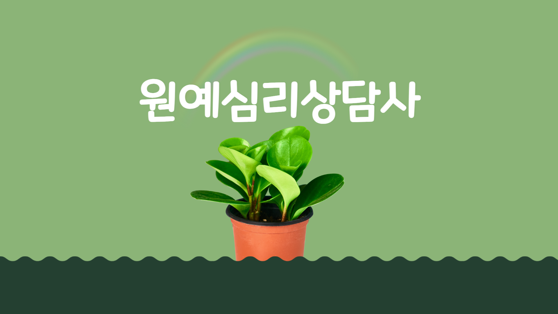 원예심리상담사