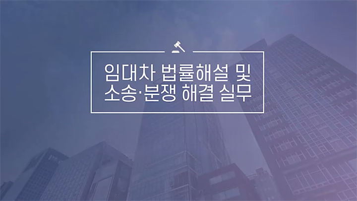 임대차법률 해설 및 소송·분쟁 해결 실무