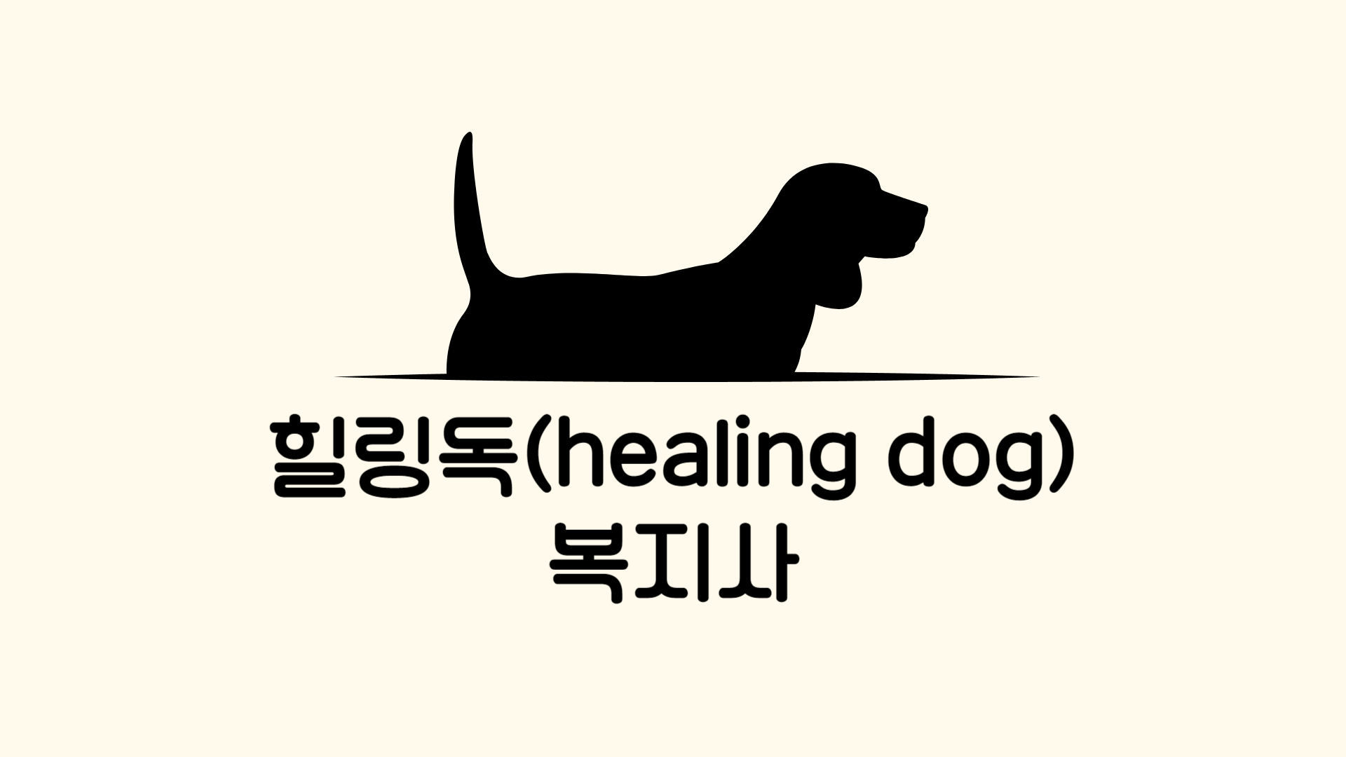 힐링독(healing dog)복지사