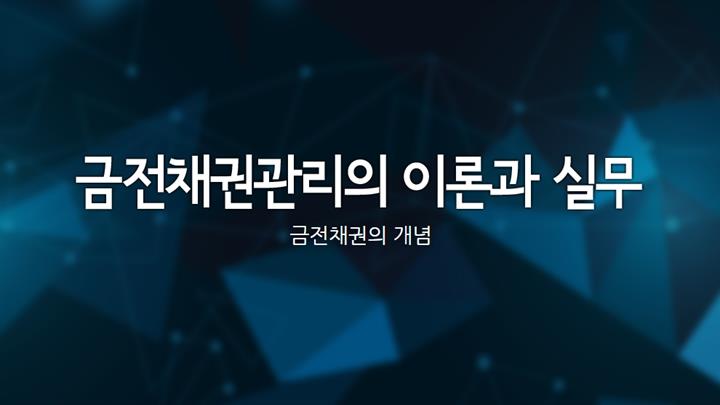 금전채권관리의 이론과 실무