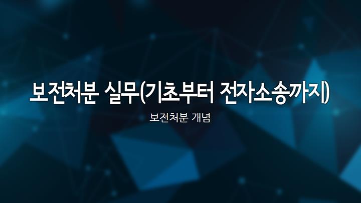 보전처분 실무(기초부터 전자소송까지)