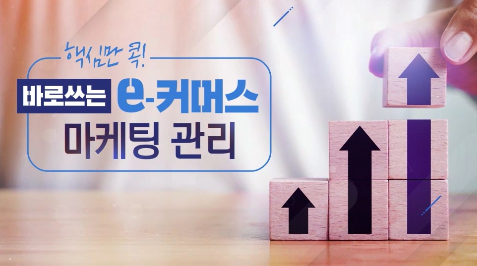 핵심만 콕! 바로 쓰는 e커머스 마케팅 관리