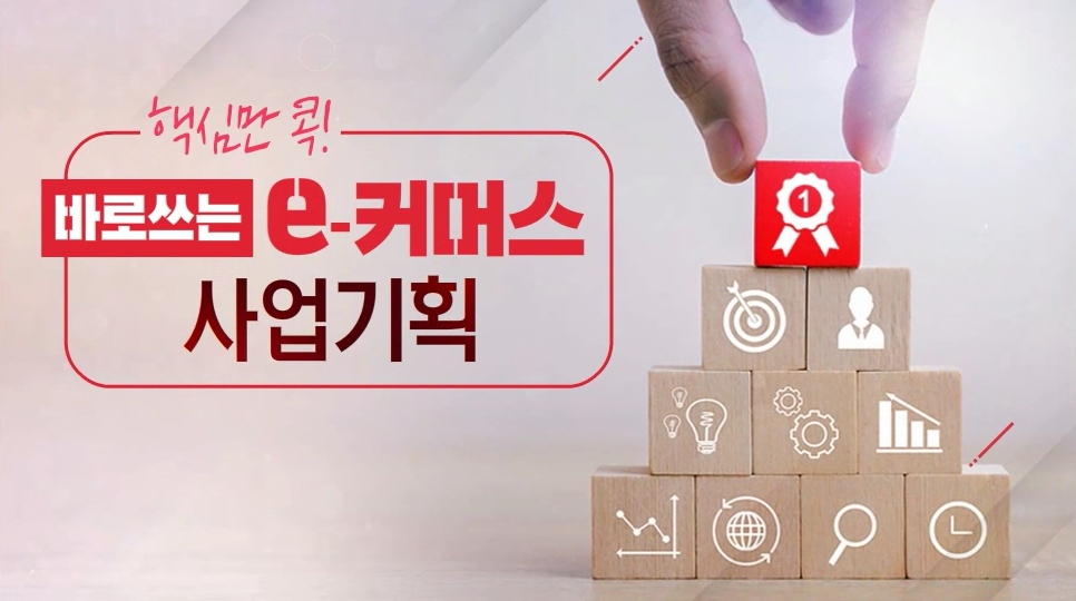 핵심만 콕! 바로 쓰는 e커머스 사업기획