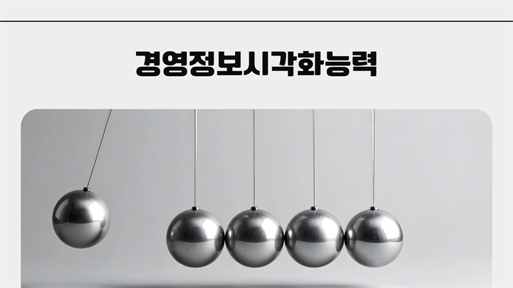 [PLUS] 경영정보시각화능력 - 필기