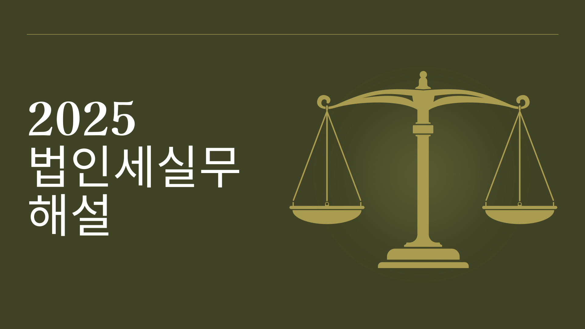 2025 법인세실무해설