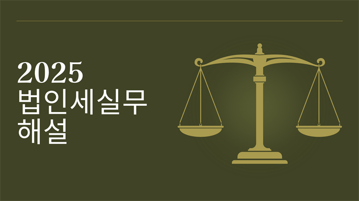 2025 법인세실무해설