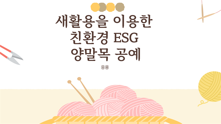 새활용을 이용한 친환경 ESG 양말목 공예 - 응용