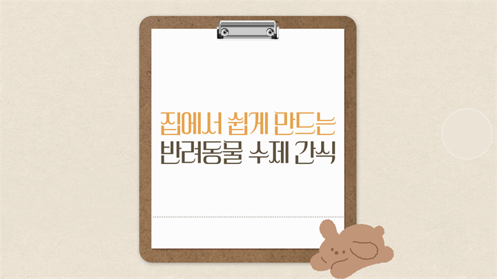 집에서 쉽게 만드는 반려동물 수제 간식