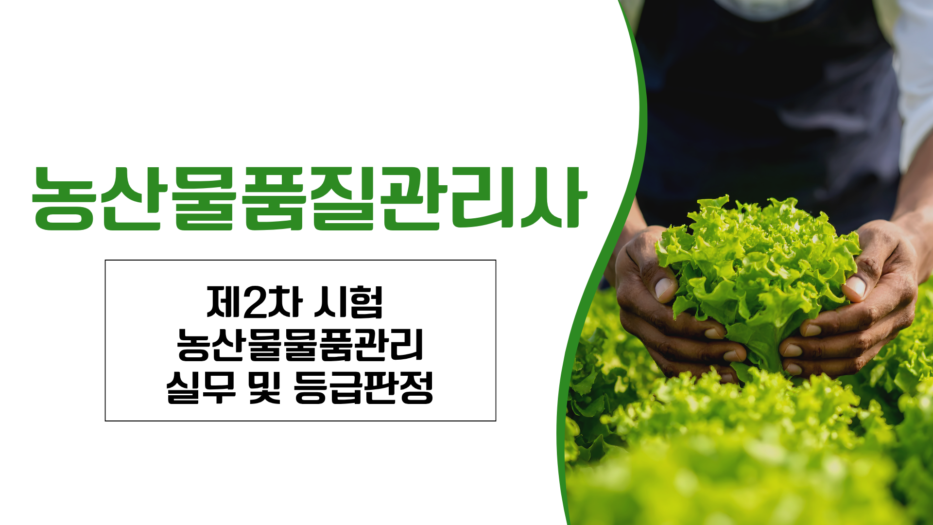 [공략]농산물품질관리사 2차 농산물품질관리 실무 및 등급판정