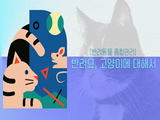 [반려동물 종합관리] 반려묘, 고양이에 대해서
