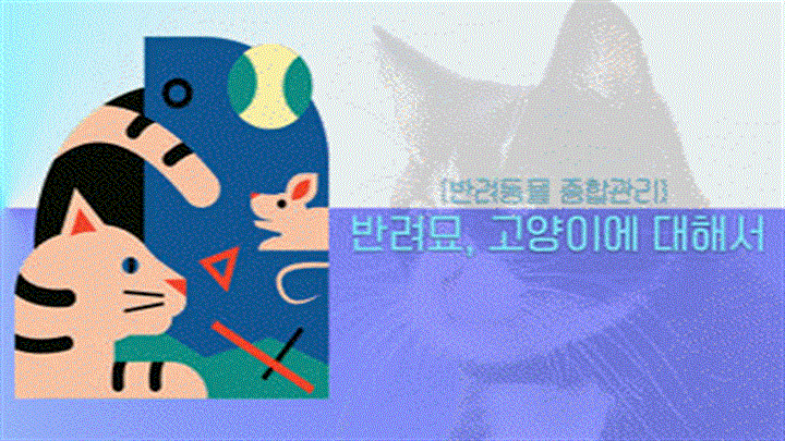 [반려동물 종합관리] 반려묘, 고양이에 대해서