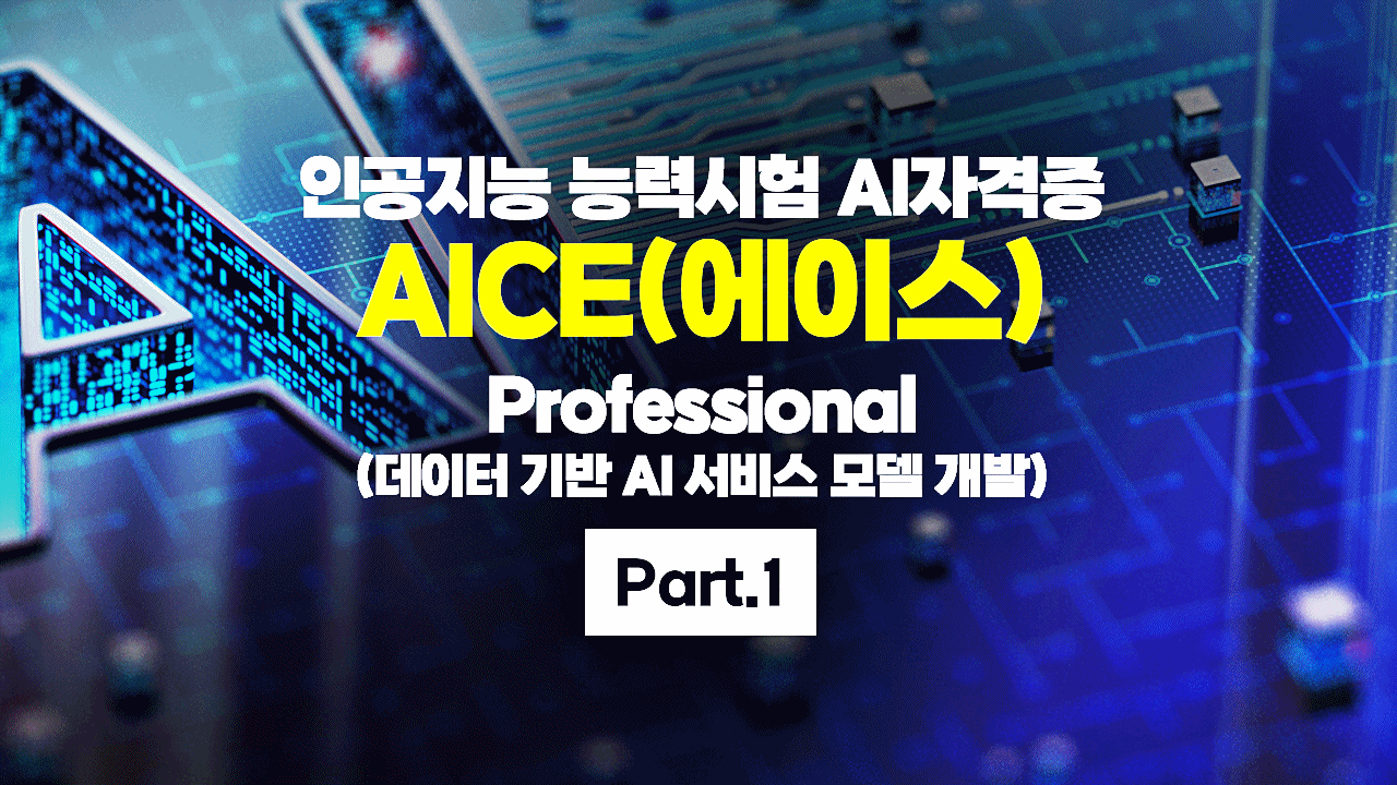 [HD]인공지능 능력시험 AI자격증 AICE(에이스) 따기 - Professional (데이터 기반 AI 서비스 모델 개발) Part.1