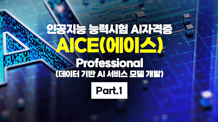 [HD]인공지능 능력시험 AI자격증 AICE(에이스) 따기 - Professional (데이터 기반 AI 서비스 모델 개발) Part.1